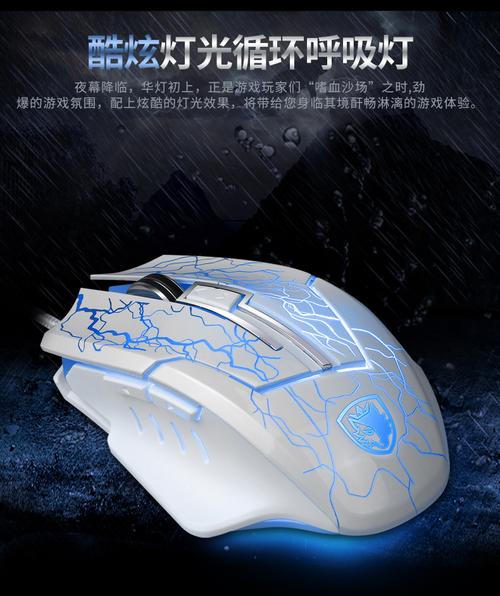 赛德斯产品评情图赋能竞赛组织 从视觉呈现到高效决策