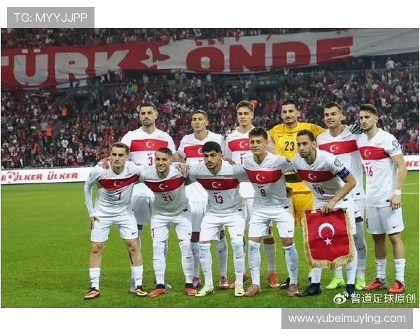 土耳其国家队新名单公布居莱尔恰尔汗奥卢伊尔迪兹入选乌尊未能入选